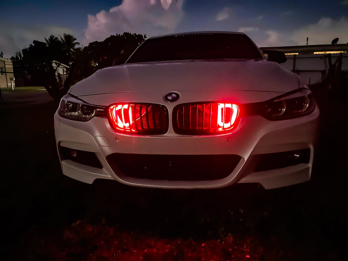 2012-2019 BMW F30 (3-Series)
and 2013-2020 BMW F32 (4-Series) Dual BIG MOUTH LIT KIT Ram Air Intake Scoops (2-3 Weeks Lead Time)
